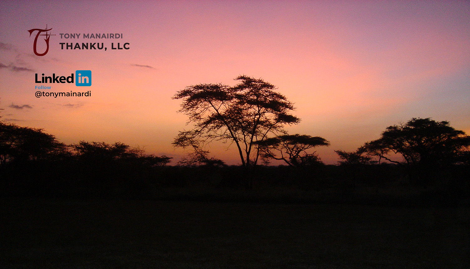 description of image